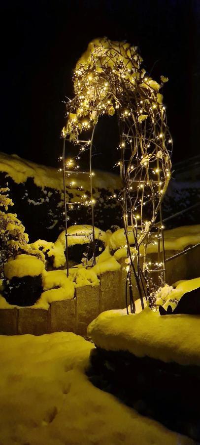 Hotel Steffl Garni Inkl Chiemgau Karte โรพอลดิง ภายนอก รูปภาพ